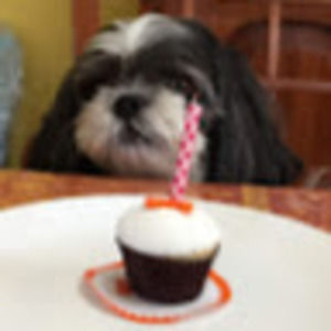 Meet your Posher, Ai